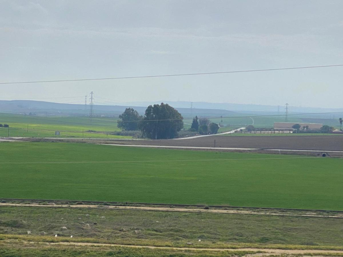 Sevilla. Gerena Casa Rural para familia o profesionales Bagian luar foto